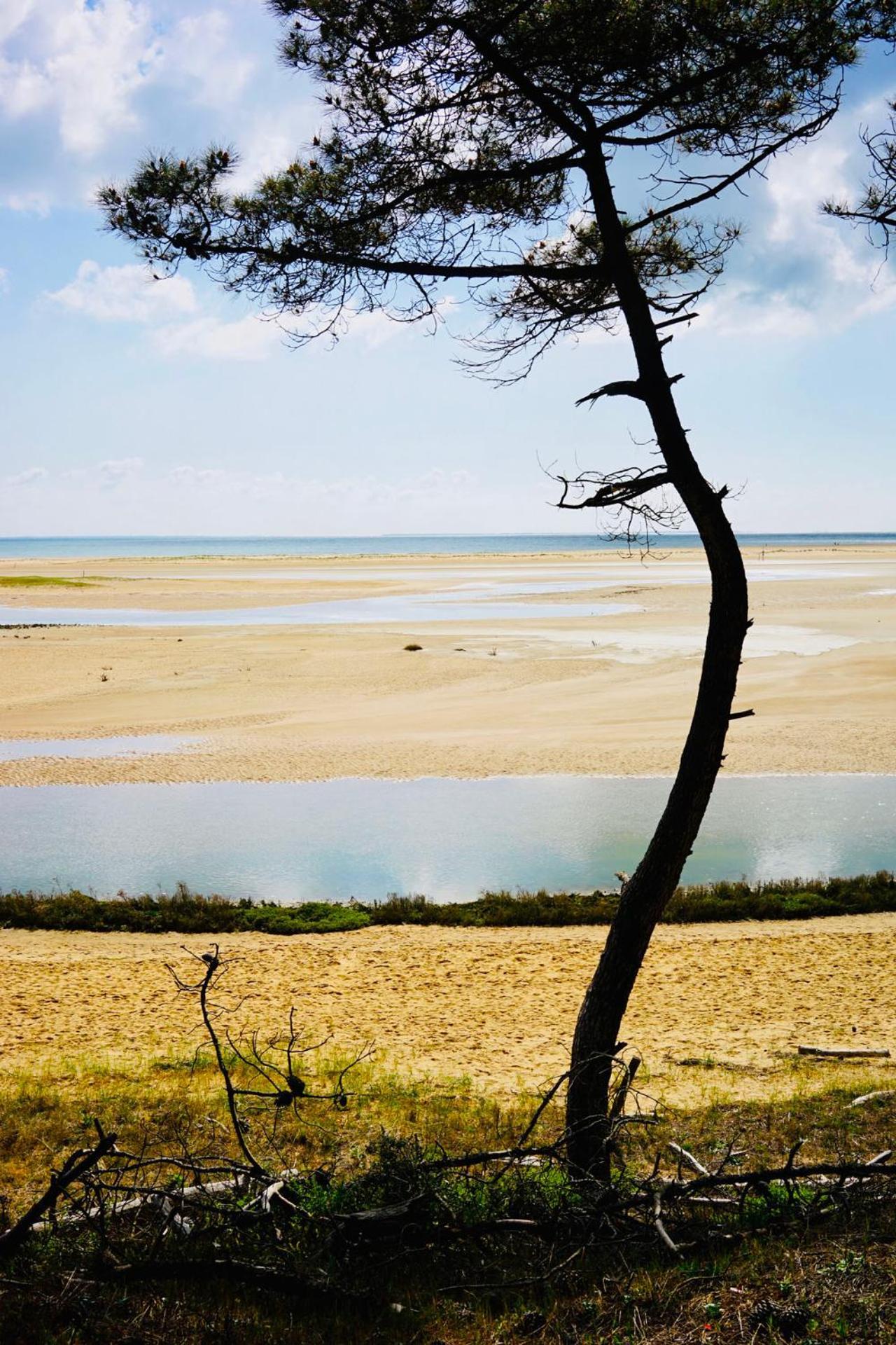 Gite De Caractere A Moins De 10Min Des Plages Saint-Michel-en-l'Herm Exterior photo